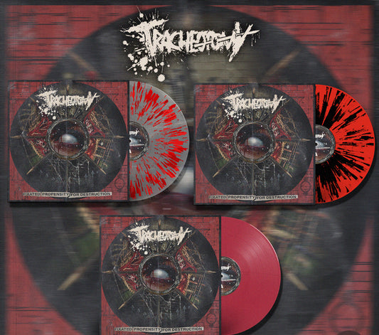 FIXATED PROPENSITY FOR DESTRUCTION VINYL