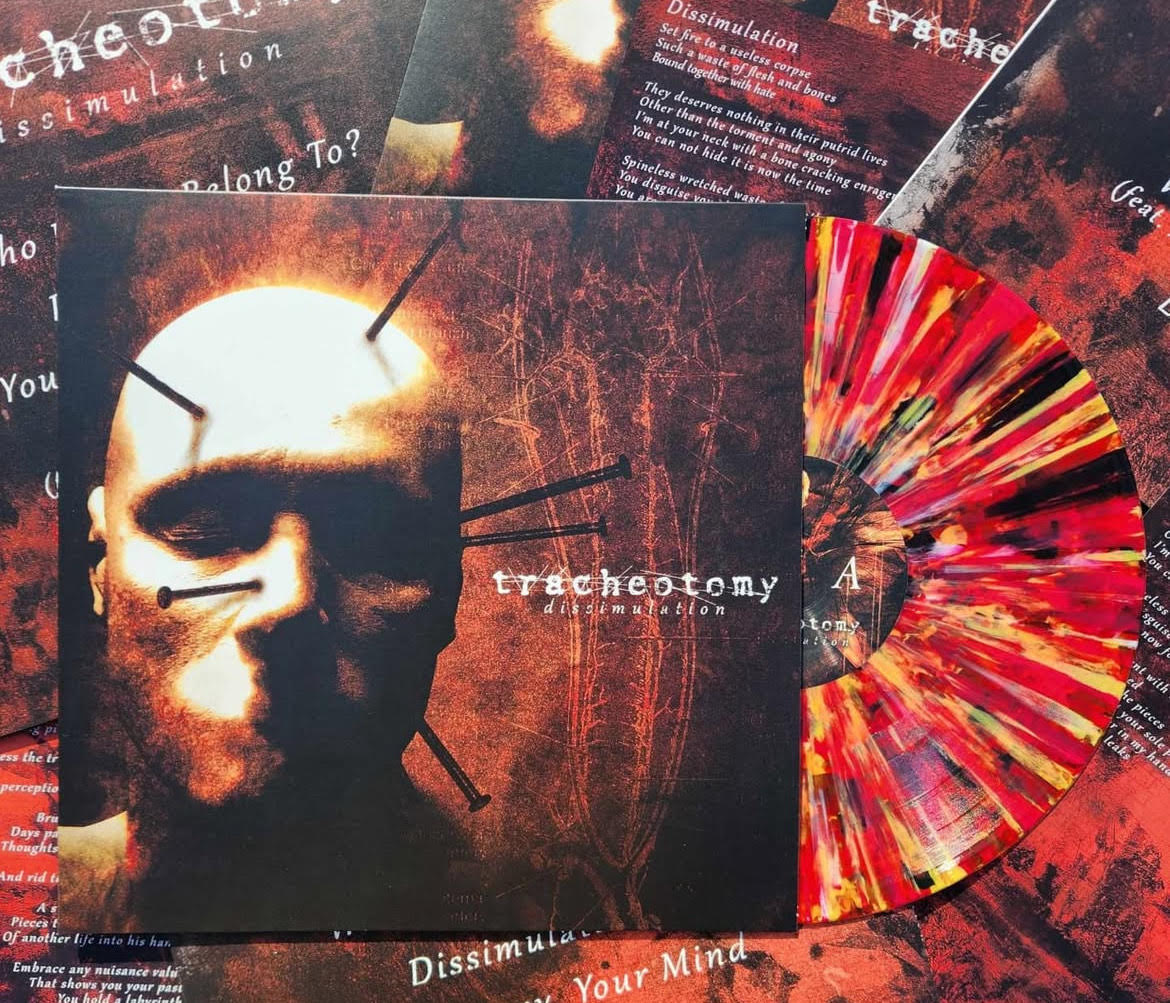 INFINITY SPLATTER DISSIMULATION VINYL