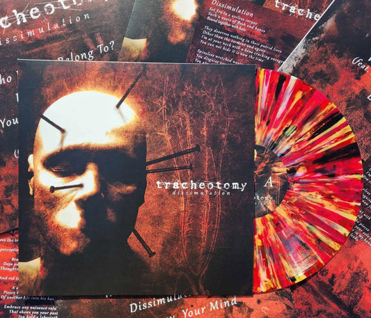 INFINITY SPLATTER DISSIMULATION VINYL